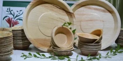 Elegant Disposable Dinnerware for Wedding