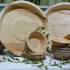 Elegant Disposable Dinnerware for Wedding